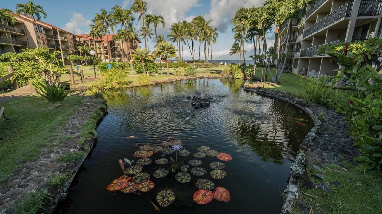 Papakea Resort G406 Lahaina Esterno foto