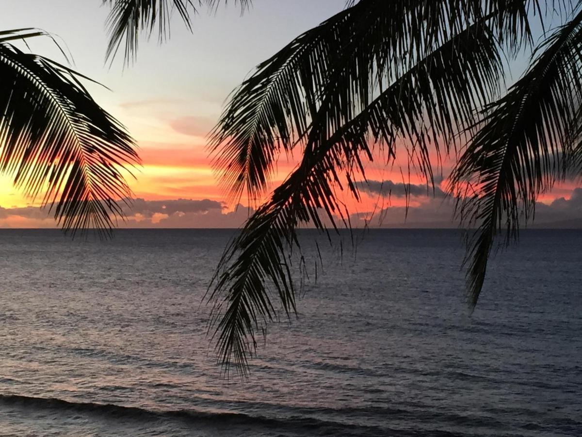 Papakea Resort G406 Lahaina Esterno foto